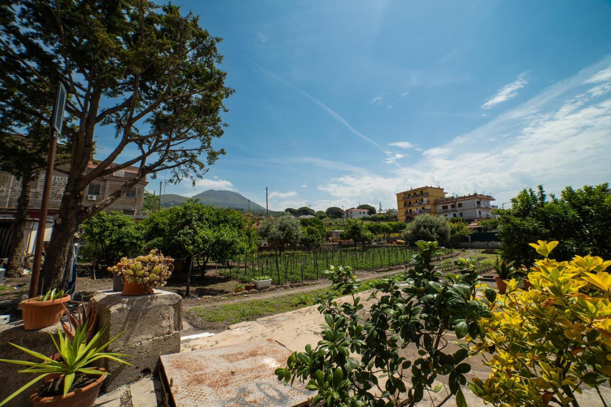 Bed and Breakfast L'Orizzonte Ercolano Exteriér fotografie